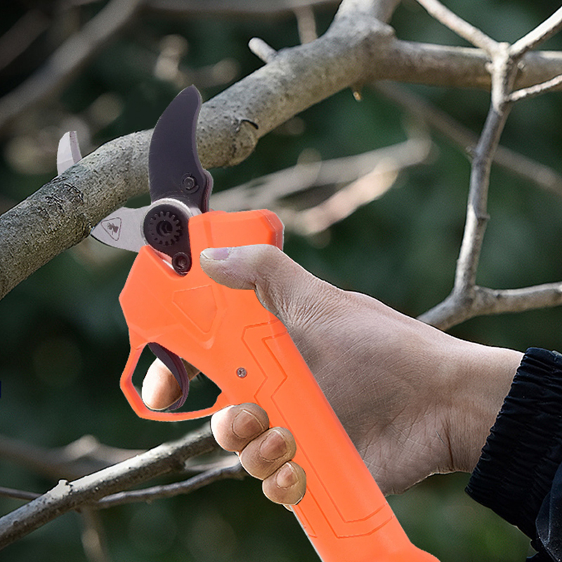 Forbici da Potatura Elettriche - Power Tools In Electrical recensione e prezzo
