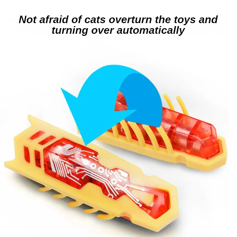 Divertenti insetti elettrici C - Power Tools Cat recensione e prezzo